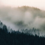 LOST IN THE PACIFIC NORTHWEST