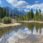 Detoured and Determined: How Our Family Beat the Odds in the Wilds of Algonquin