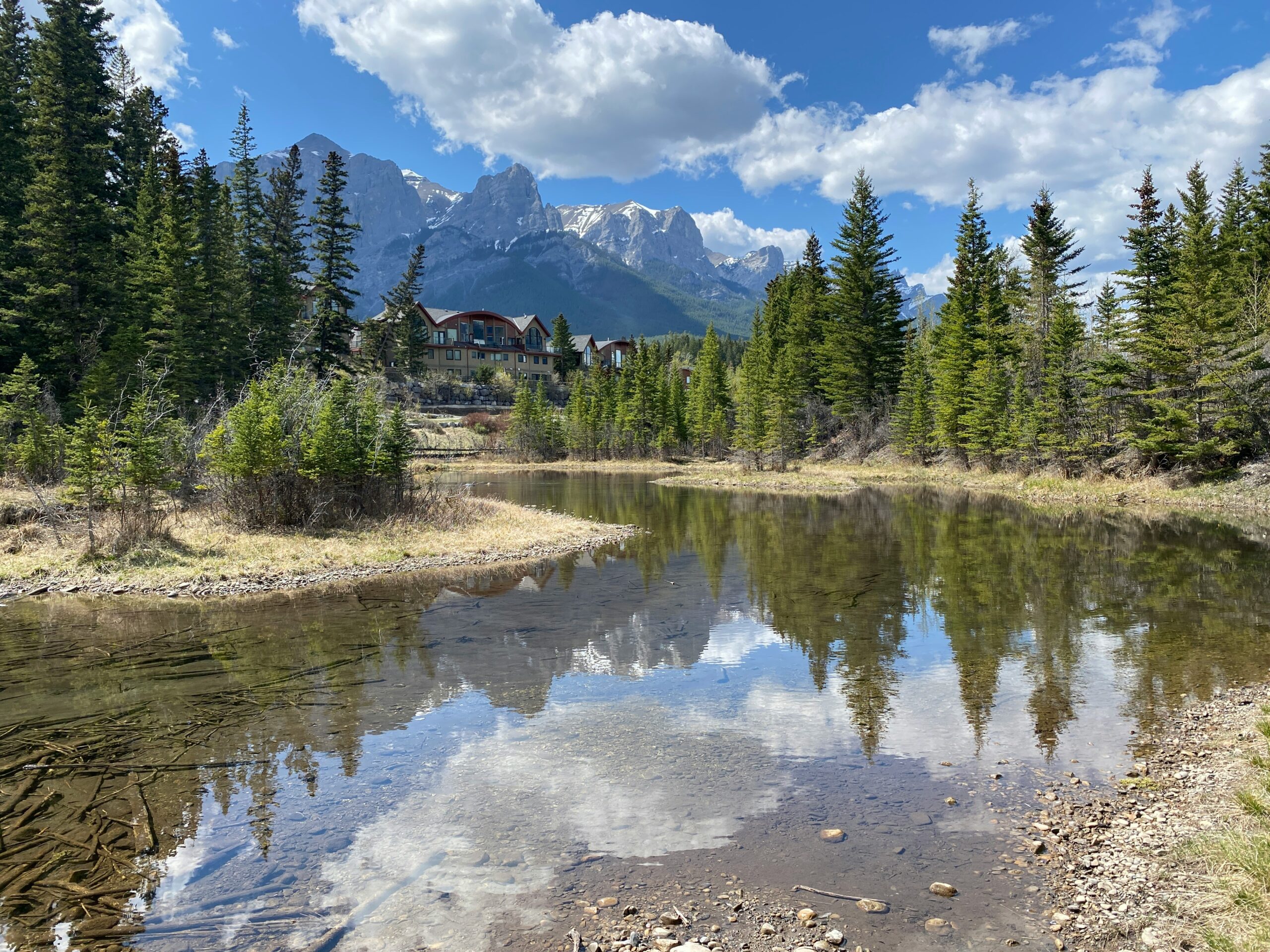 You are currently viewing Detoured and Determined: How Our Family Beat the Odds in the Wilds of Algonquin