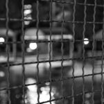 Shadowed in Paradise: Our Painful Encounter in Trinidad